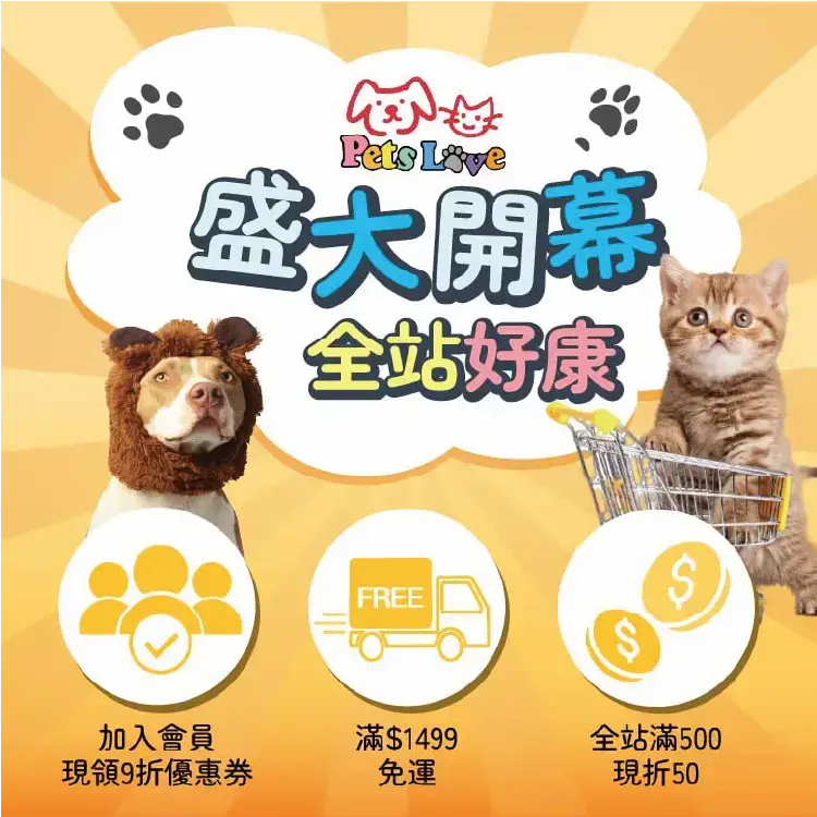 寵愛開幕優惠活動