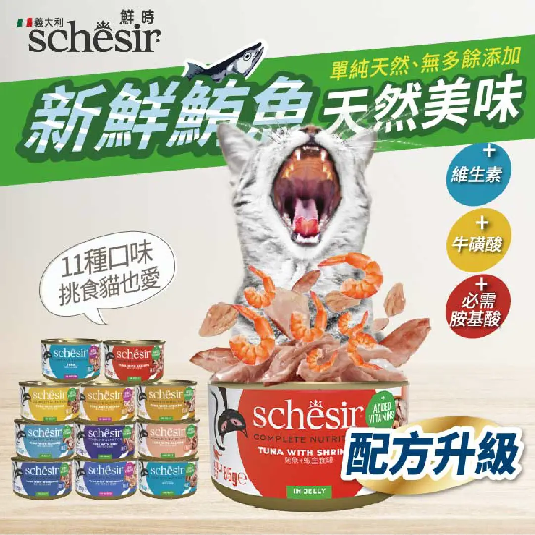 鮮時鮪魚底
